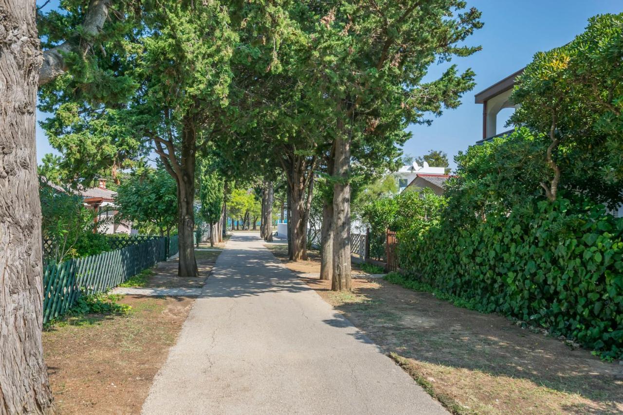 Apartments Mira Privlaka  Εξωτερικό φωτογραφία