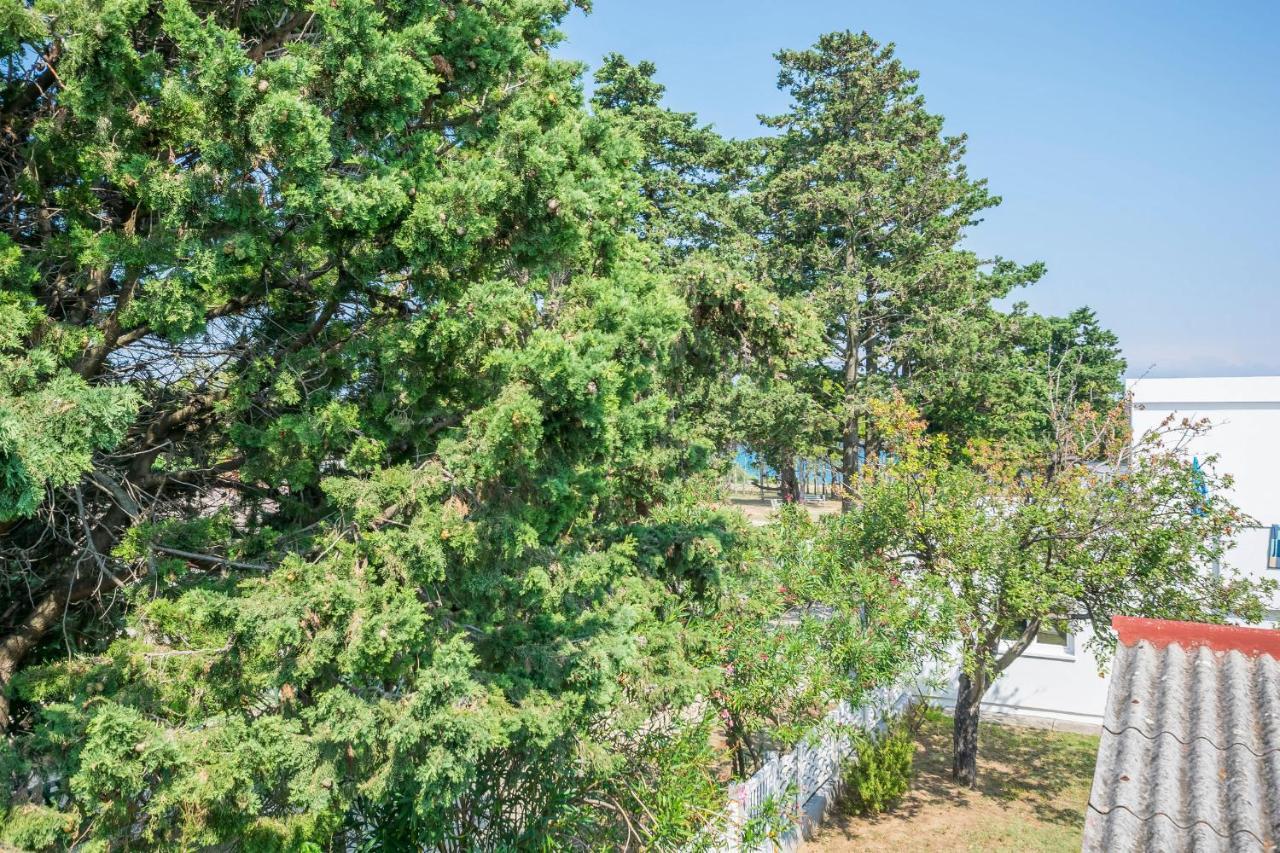 Apartments Mira Privlaka  Εξωτερικό φωτογραφία